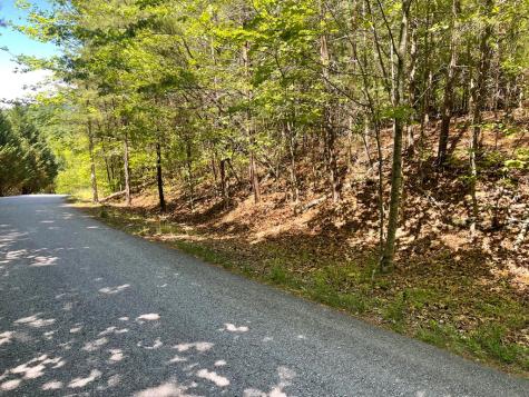 Lot 2 Mount Pleasant Ridge Road Blairsville GA 30512