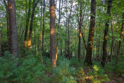 228 Toccoa Court Ellijay GA 30540