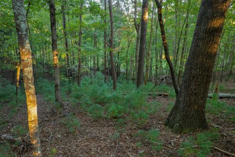 228 Toccoa Court Ellijay GA 30540