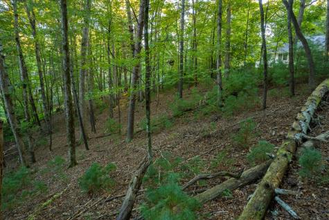 228 Toccoa Court Ellijay GA 30540