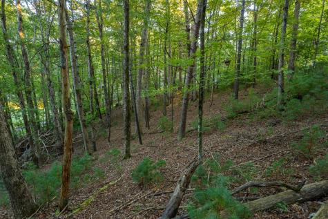 228 Toccoa Court Ellijay GA 30540