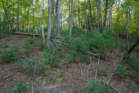 228 Toccoa Court Ellijay GA 30540