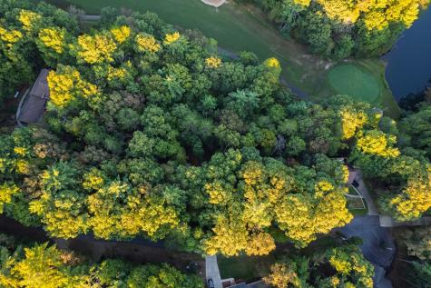 228 Toccoa Court Ellijay GA 30540