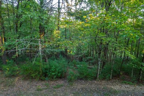 228 Toccoa Court Ellijay GA 30540