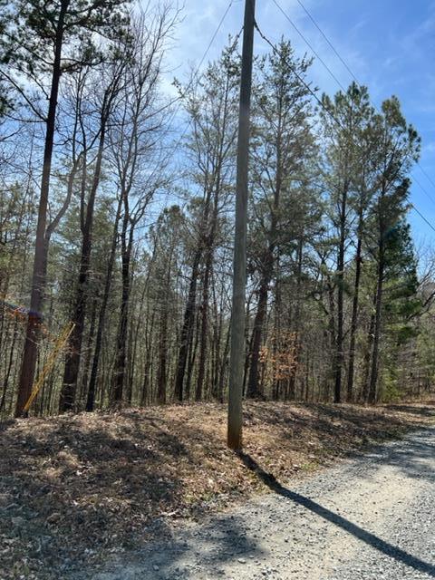 Lt 3 Hunter Ridge Ellijay GA 30540