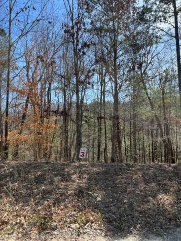 Lt 3 Hunter Ridge Ellijay GA 30540
