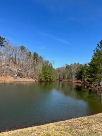 Lt 3 Hunter Ridge Ellijay GA 30540