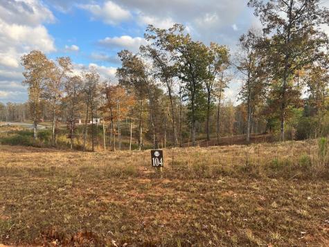 Lot 104 High River Road Ellijay GA 30540