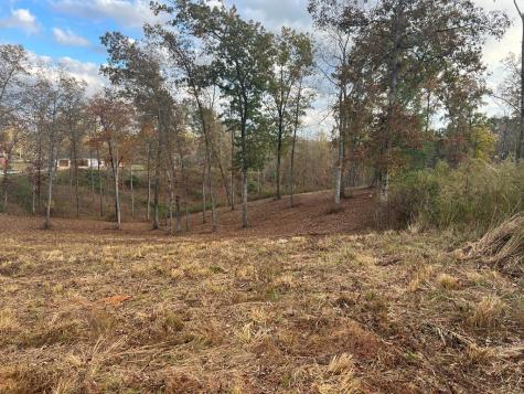 Lot 104 High River Road Ellijay GA 30540