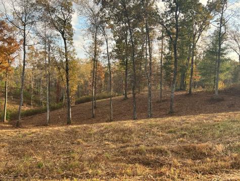 Lot 104 High River Road Ellijay GA 30540