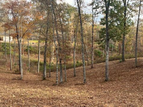 Lot 104 High River Road Ellijay GA 30540