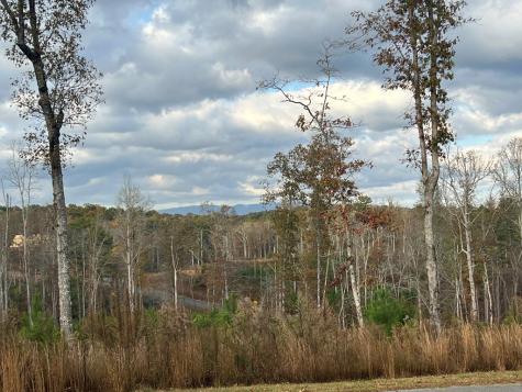 Lot 104 High River Road Ellijay GA 30540