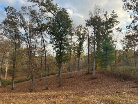 Lot 104 High River Road Ellijay GA 30540