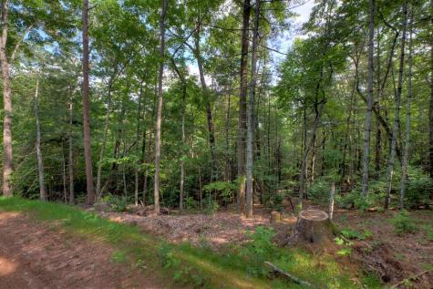 00 Sugar Creek Road Blue Ridge GA 30513