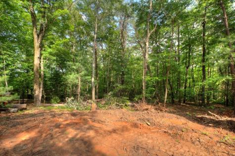 00 Sugar Creek Road Blue Ridge GA 30513