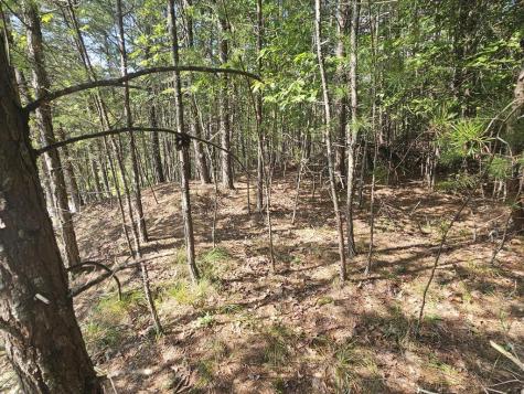 Lot 76 Wildcat Drive Murphy NC 28906