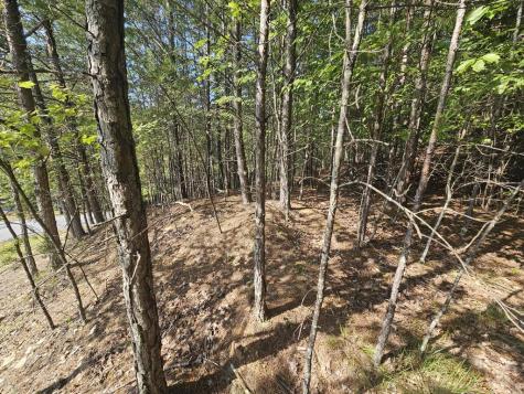 Lot 76 Wildcat Drive Murphy NC 28906