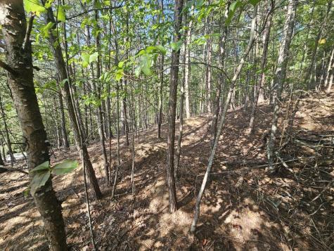 Lot 76 Wildcat Drive Murphy NC 28906