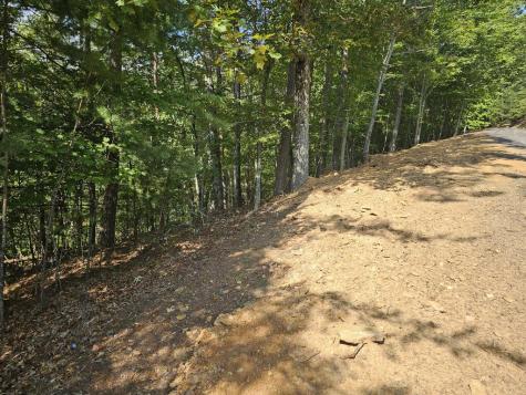 Lot 76 Wildcat Drive Murphy NC 28906