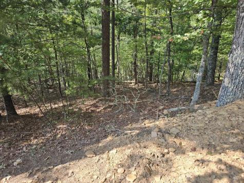 Lot 76 Wildcat Drive Murphy NC 28906