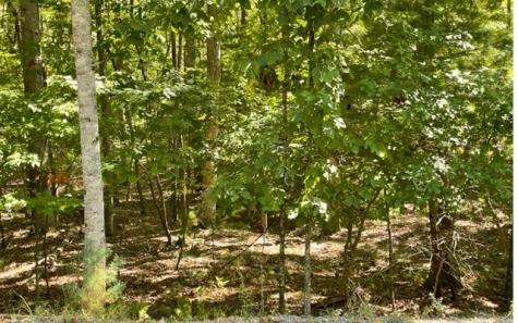 8 Ac Payne Way Blairsville GA 30512