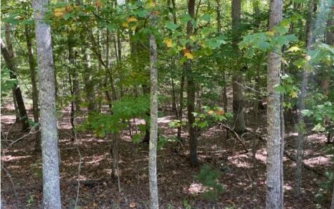 8 Ac Payne Way Blairsville GA 30512