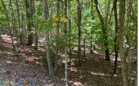 8 Ac Payne Way Blairsville GA 30512