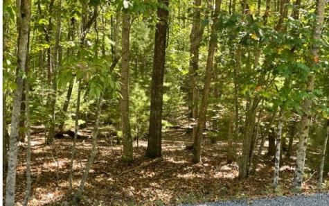 8 Ac Payne Way Blairsville GA 30512
