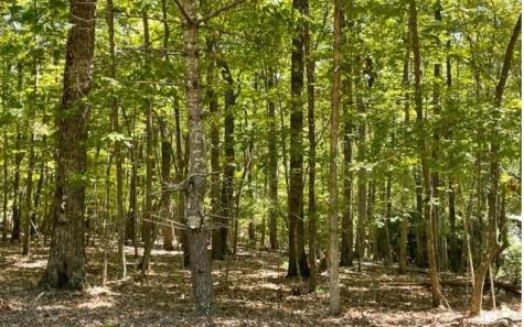 8 Ac Payne Way Blairsville GA 30512