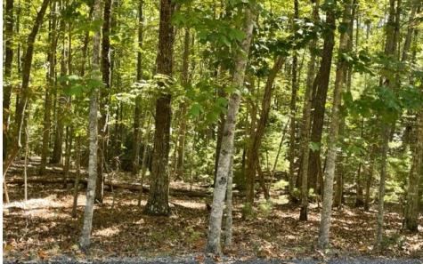 8 Ac Payne Way Blairsville GA 30512