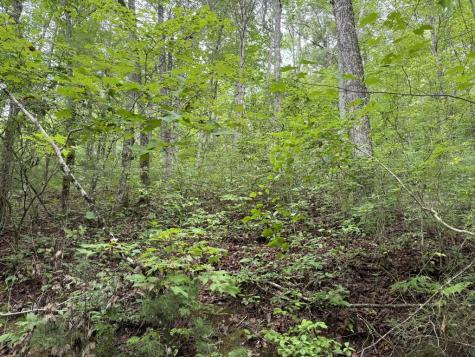 00 Owl Creek Road Murphy NC 28906