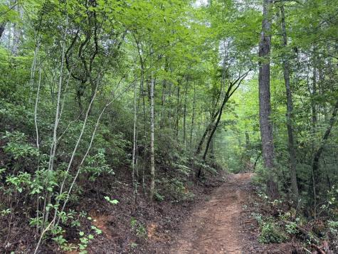 00 Owl Creek Road Murphy NC 28906