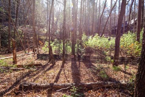 Tract 2 Stanley Creek Road Blue Ridge GA 30513