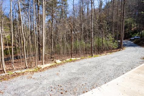 Tract 2 Stanley Creek Road Blue Ridge GA 30513