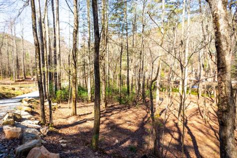 Tract 2 Stanley Creek Road Blue Ridge GA 30513