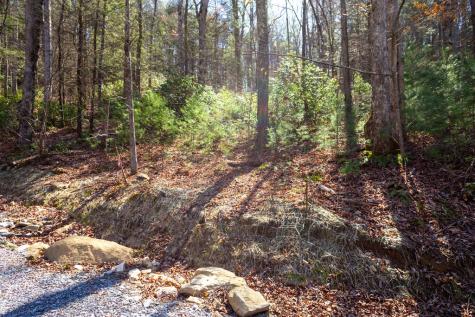 Tract 2 Stanley Creek Road Blue Ridge GA 30513