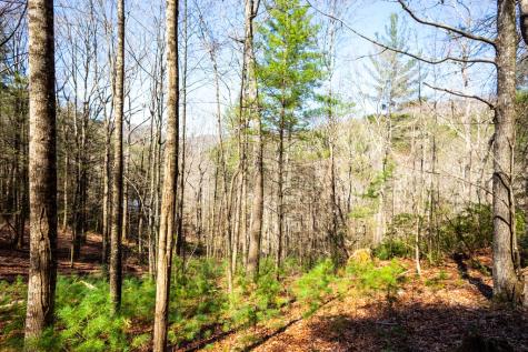 Tract 2 Stanley Creek Road Blue Ridge GA 30513