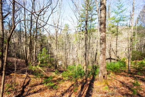 Tract 2 Stanley Creek Road Blue Ridge GA 30513