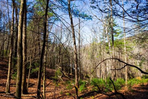 Tract 2 Stanley Creek Road Blue Ridge GA 30513