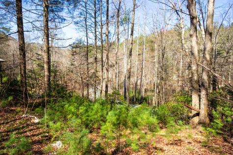 Tract 2 Stanley Creek Road Blue Ridge GA 30513