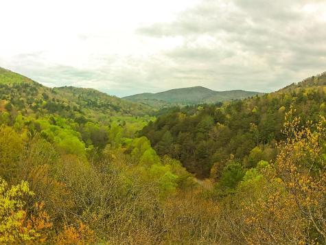 Tract 2 Stanley Creek Road Blue Ridge GA 30513