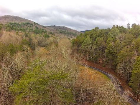 Tract 2 Stanley Creek Road Blue Ridge GA 30513