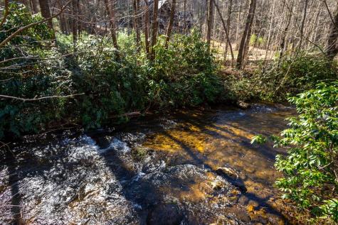 Tract 2 Stanley Creek Road Blue Ridge GA 30513