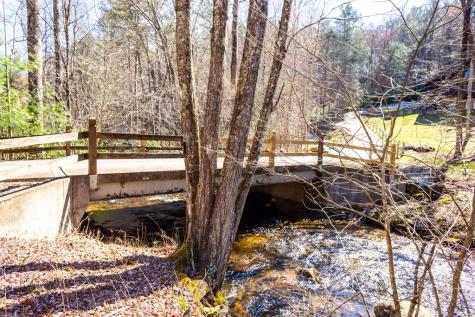 Tract 2 Stanley Creek Road Blue Ridge GA 30513