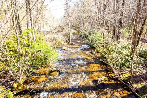 Tract 2 Stanley Creek Road Blue Ridge GA 30513