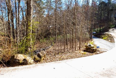 Tract 2 Stanley Creek Road Blue Ridge GA 30513