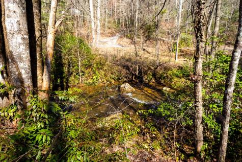 Tract 2 Stanley Creek Road Blue Ridge GA 30513