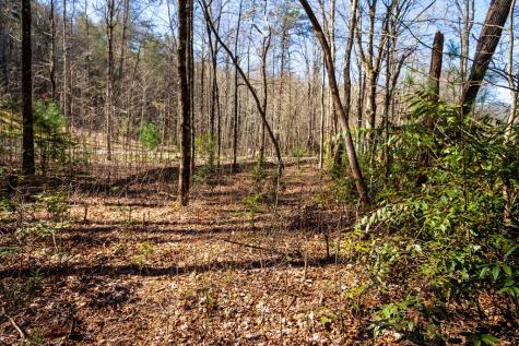 Tract 2 Stanley Creek Road Blue Ridge GA 30513