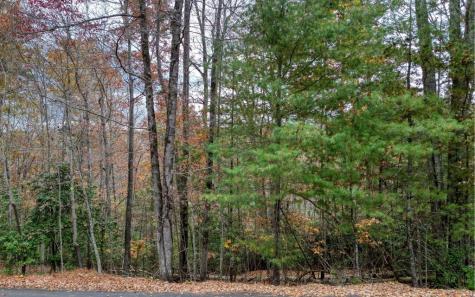 Lt 10 Amy Lynn Drive Blairsville GA 30512