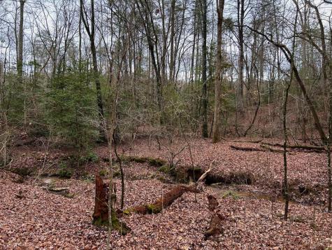 00 Grace Drive Blue Ridge GA 30513